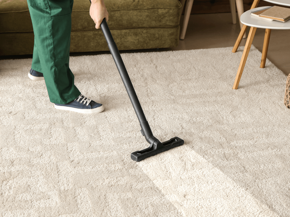 domestic carpet cleaning