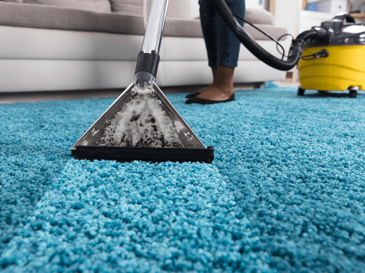 carpet cleaning