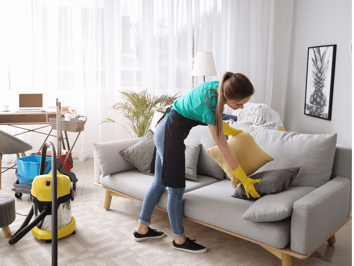 domestic cleaning services