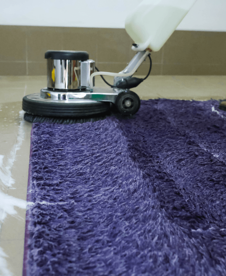 carpet cleaning bristol