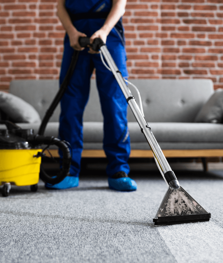 domestic carpet cleaning